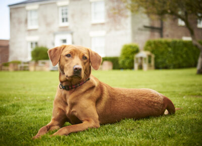 The Grange Holidays Flamborough Limited